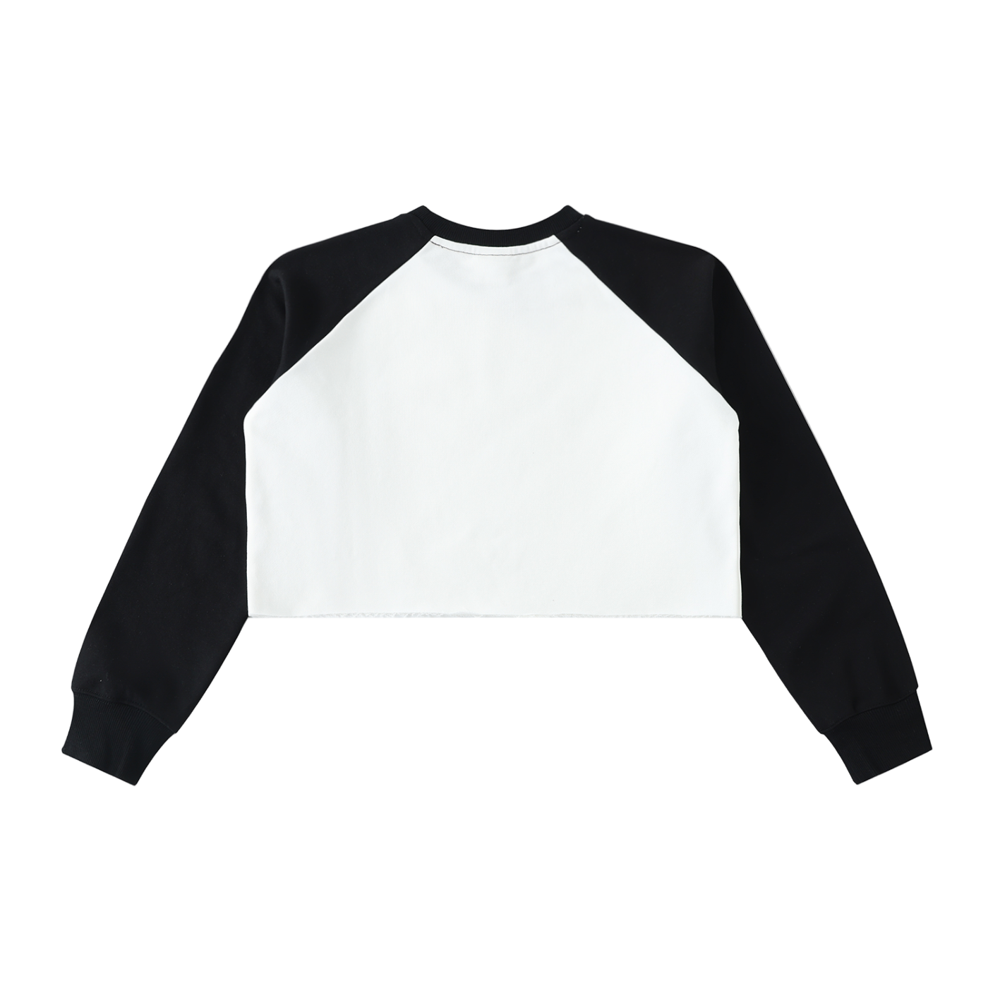SOZIN© RETRO CROP SWEATSHIRT