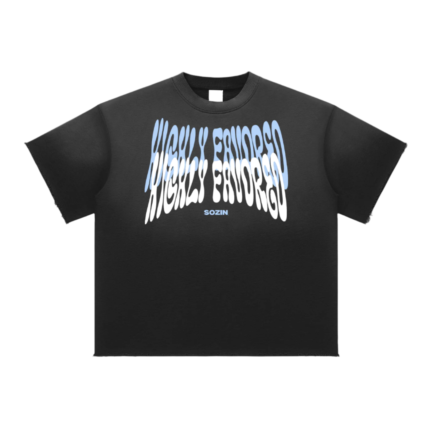 "HIGHLY FAVORED" Burnsoft Tee
