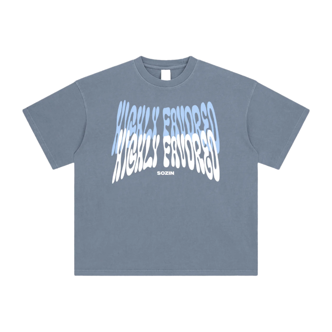 "HIGHLY FAVORED" Enzyme Washed Tee