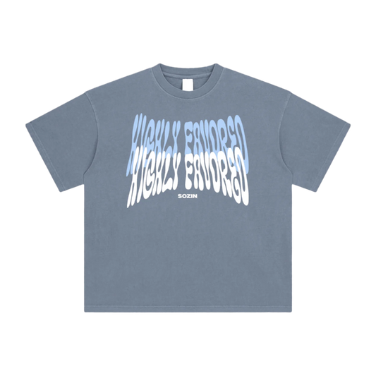 "HIGHLY FAVORED" Enzyme Washed Tee