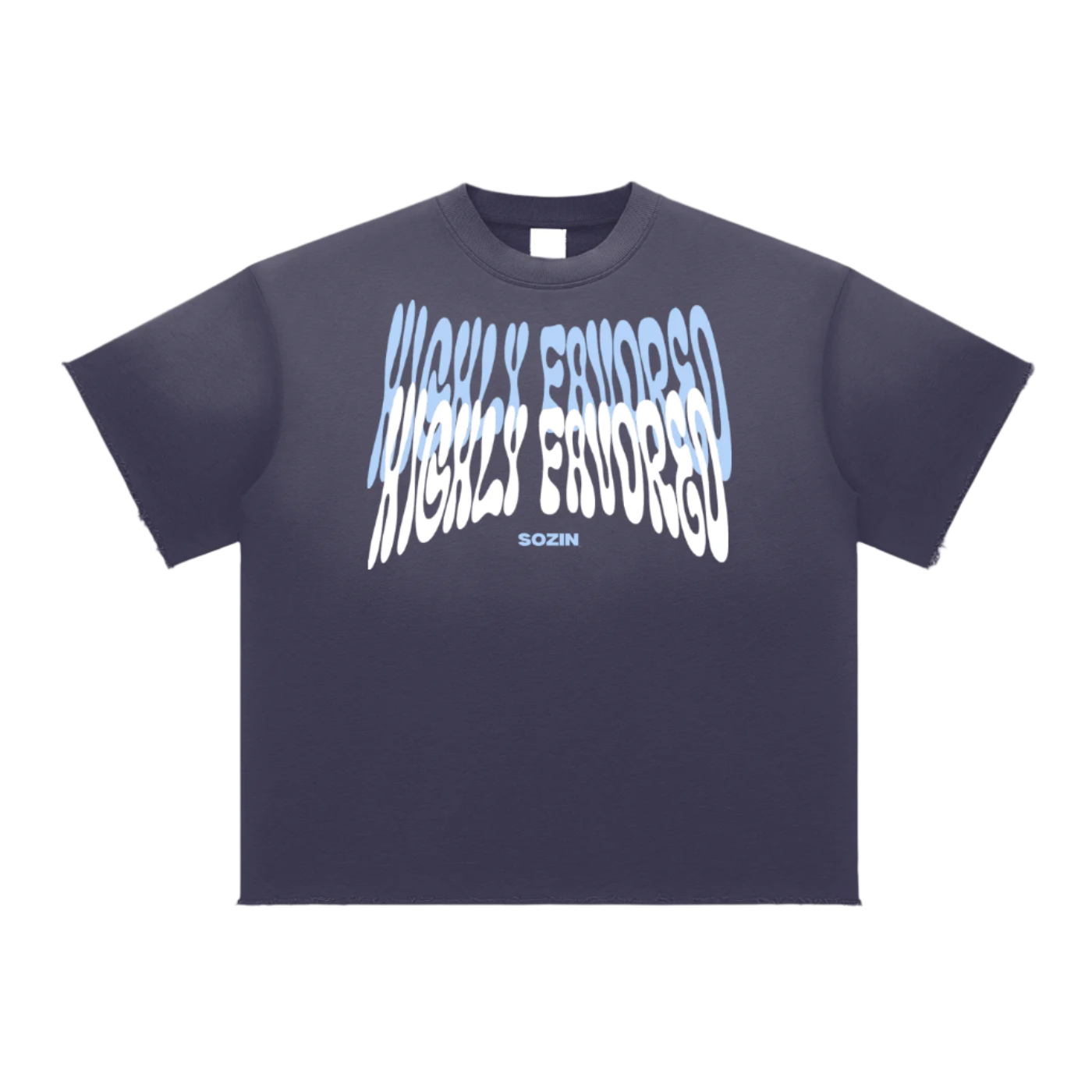 "HIGHLY FAVORED" Burnsoft Tee
