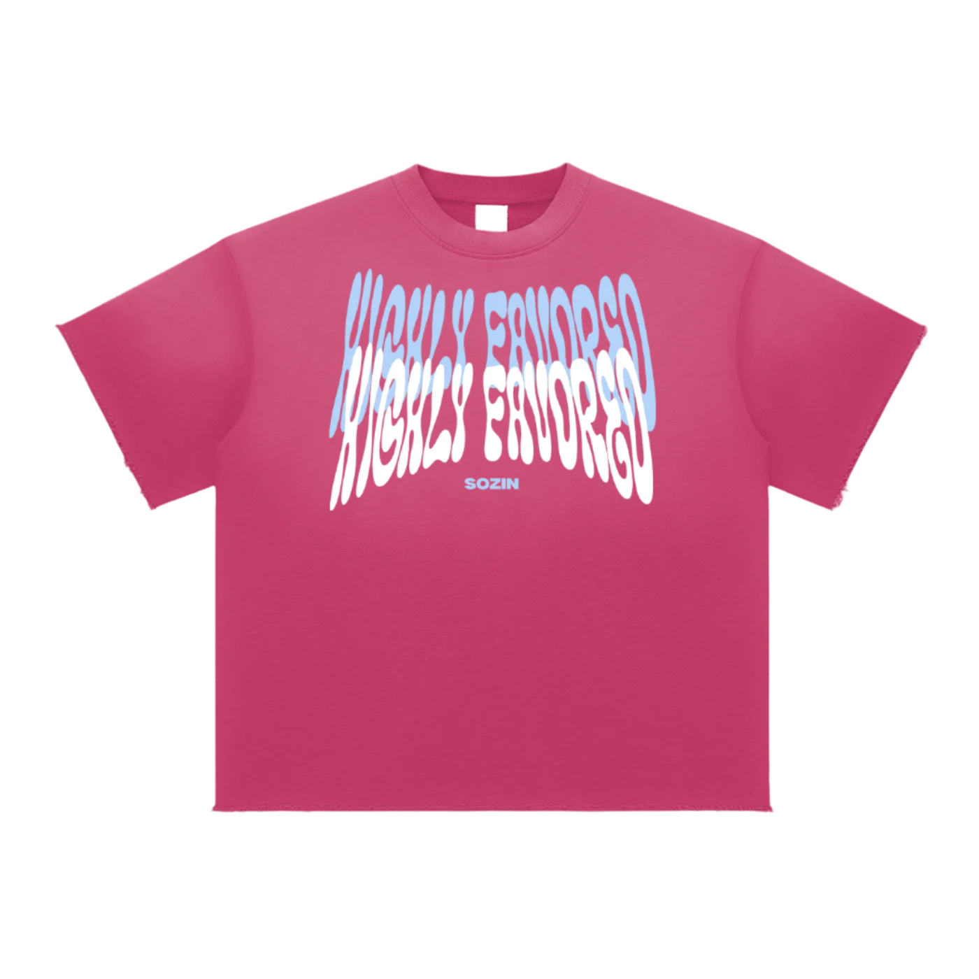 "HIGHLY FAVORED" Burnsoft Tee