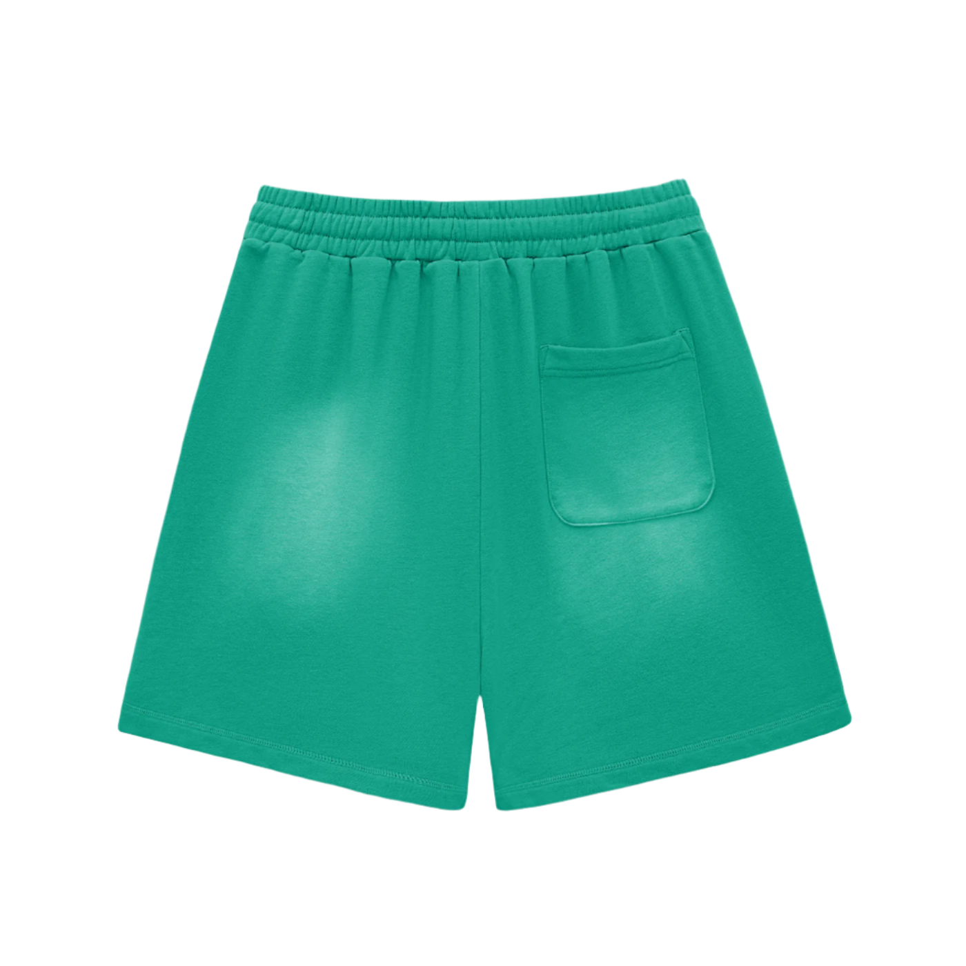 "HIGHLY FAVORED" Burnsoft Shorts