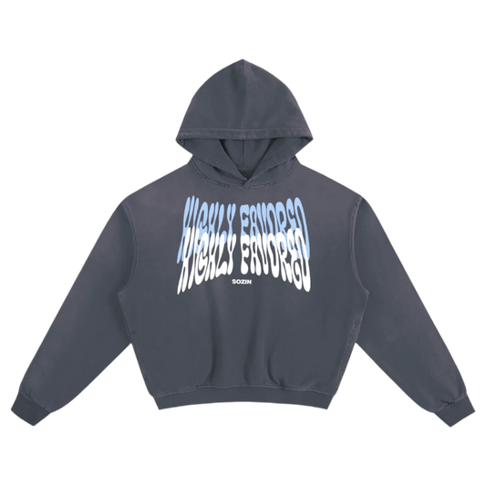 "HIGHLY FAVORED" Sunfade Boxy Hoodie