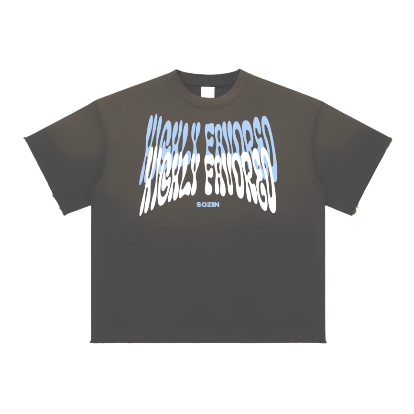 "HIGHLY FAVORED" Burnsoft Tee
