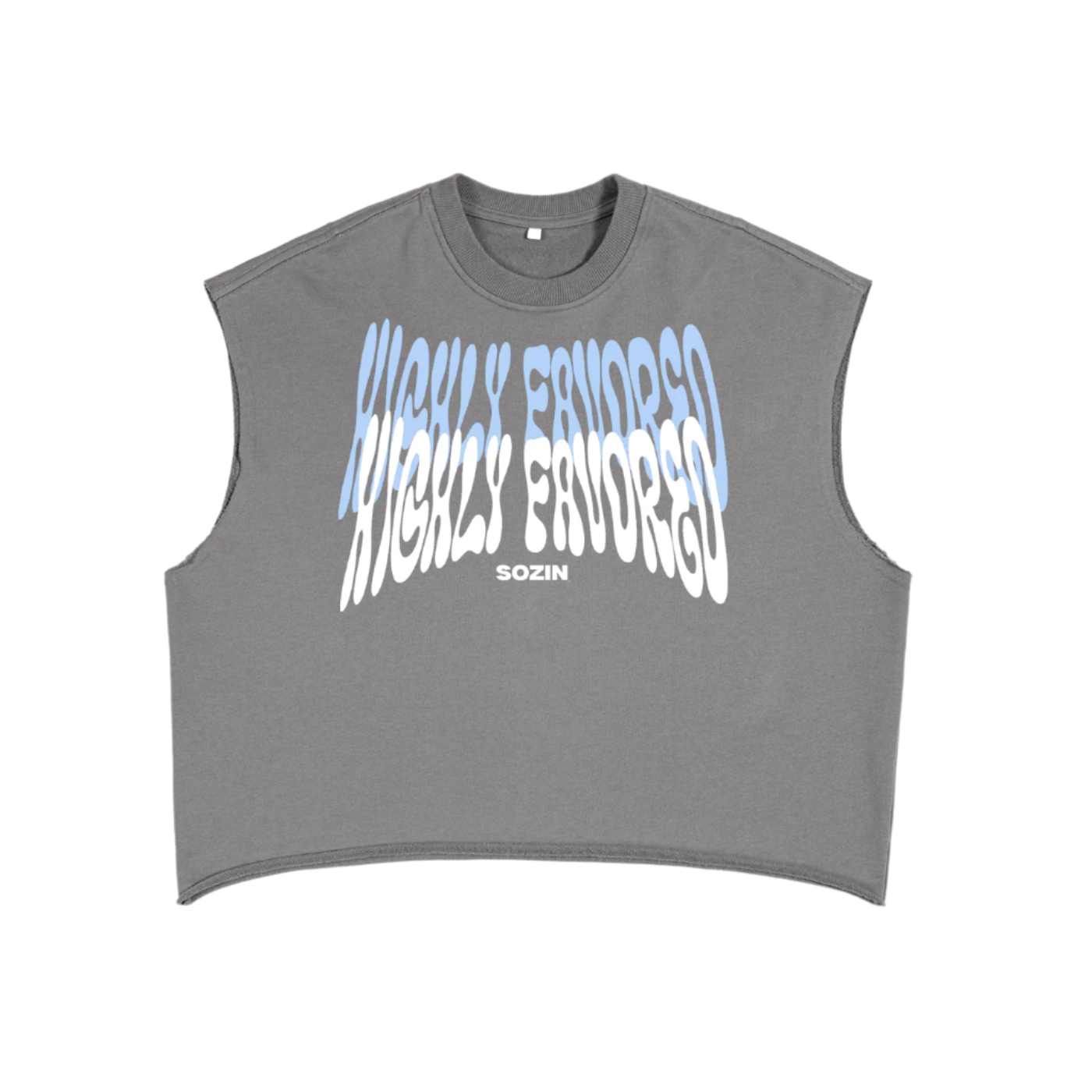 "HIGHLY FAVORED" Boxy Crop Tank (GREY)